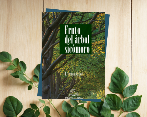 El fruto del Árbol Sicómoro 